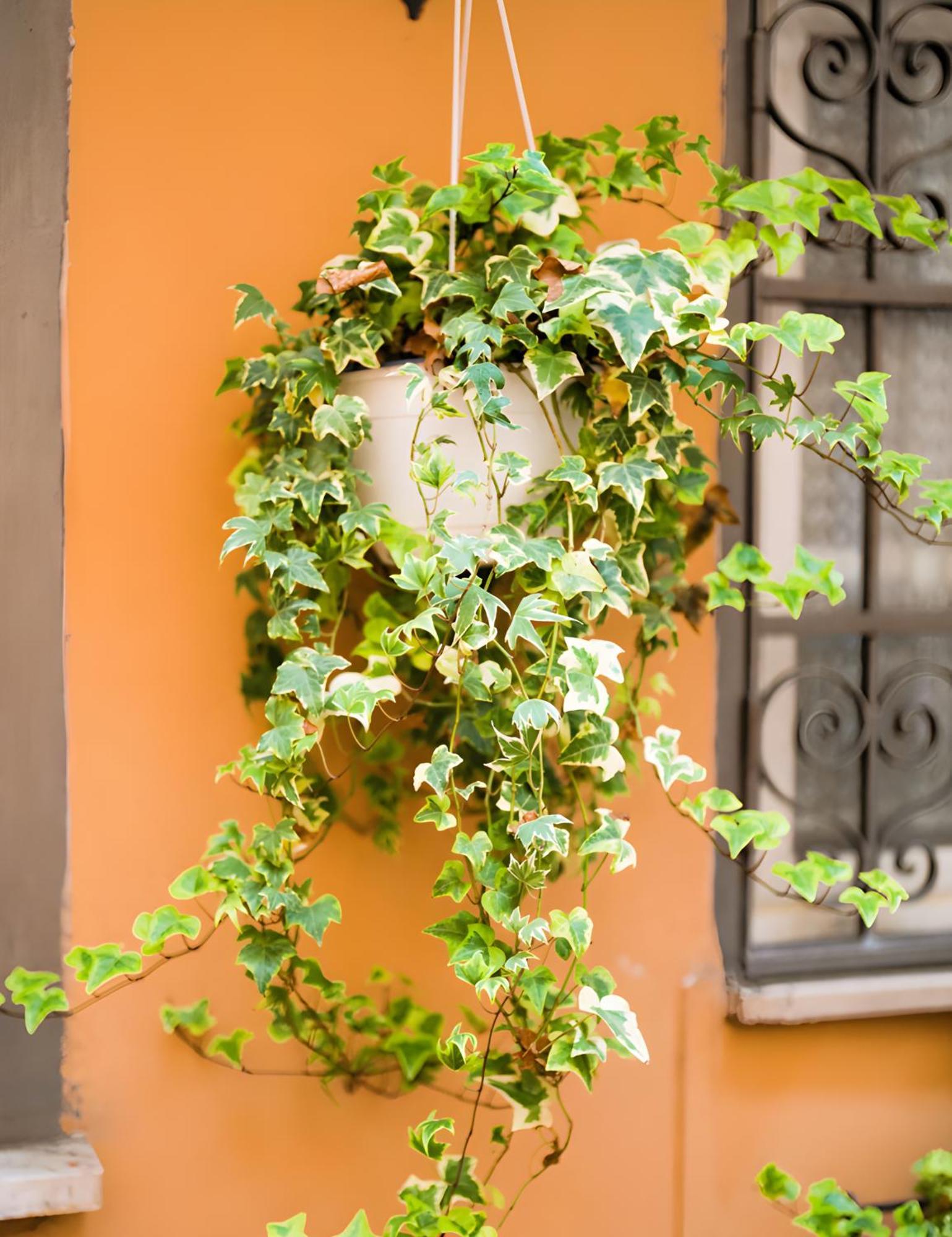The Best Nest Řím Exteriér fotografie